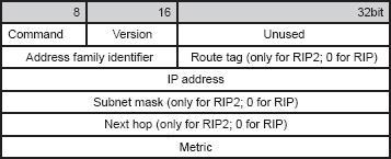 Format paketa RIPv2